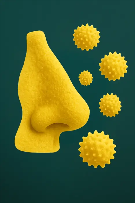 test alergiczny w Częstochowie - biorezonans Sanaga